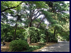 Shinjuku Gyoen 63